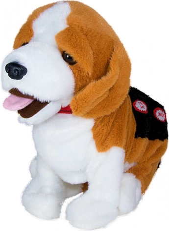 Wspiera rozwój umiejętności