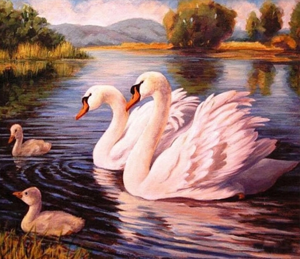 Norimpex Malowanie po numerach Łabędzie 40 × 50 cm