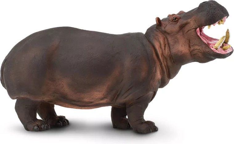Safari Ltd. hipopotam – realistyczna figurka – 1 szt.