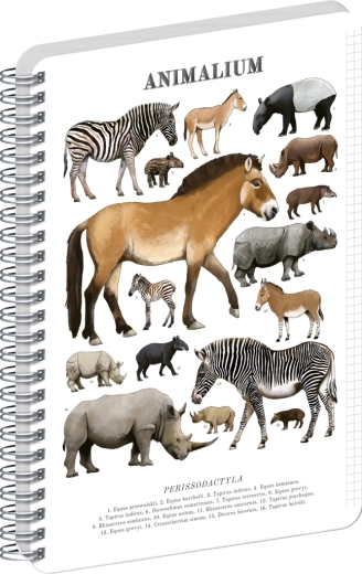 Notatnik spiralny Notique Animalium – nieparzystokopytne, A5, w kratkę