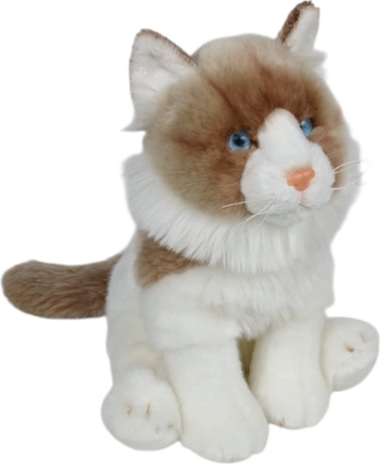 Pluszowy kot Ragdoll siedzący 28 cm