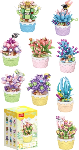 Florist sukulenty w ozdobnych doniczkach (9 rodzajów) - 1 sztuka