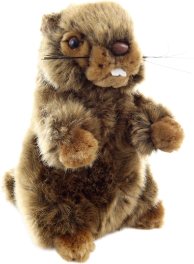 Bezpieczny od urodzenia