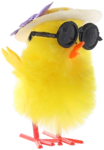 Zabawny wygląd, który przyciąga wzrok od pierwszego spojrzenia