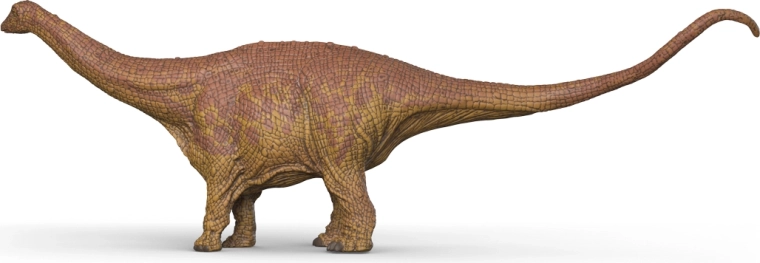 Stabilna postawa do zabawy i ekspozycji