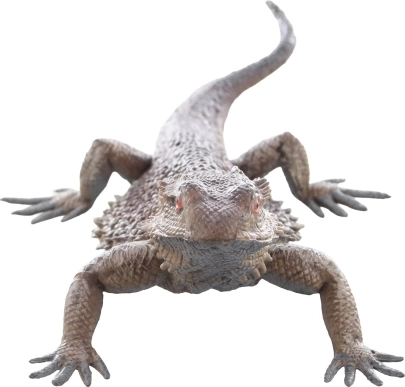 Bezpieczne i odpowiednie dla dzieci od 3 lat