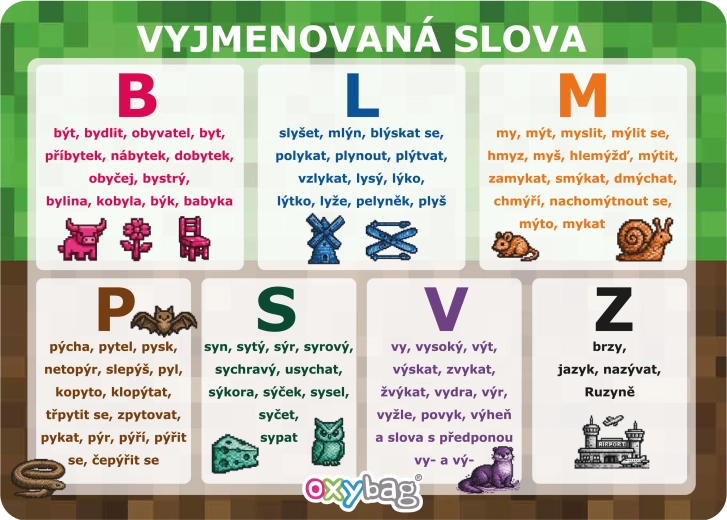 PlayWorld karta edukacyjna A4 – wyjmenované slova