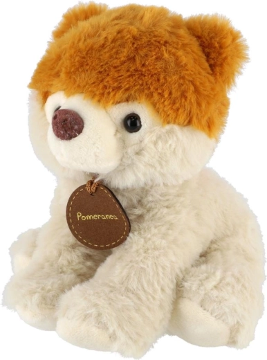 Różnorodny mix w opakowaniu 10 szt.