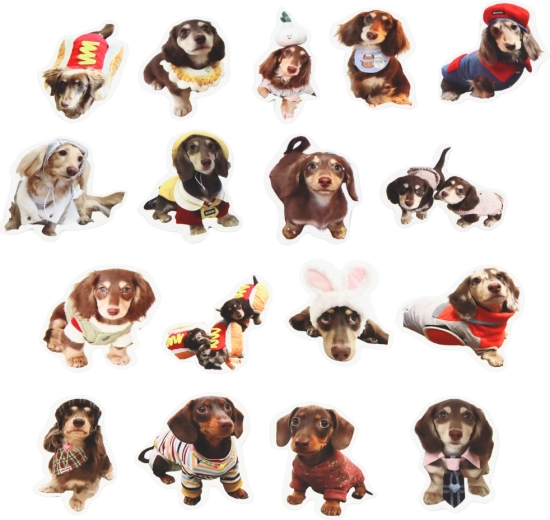 Idealny rozmiar 5 cm do dekorowania