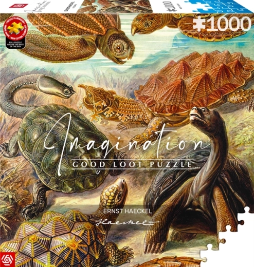 GOOD LOOT Puzzle Imagination: Ernst Haeckel – żółwie morskie, 1000 elementów