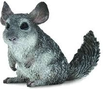 Figurka szynszyli długowłosej