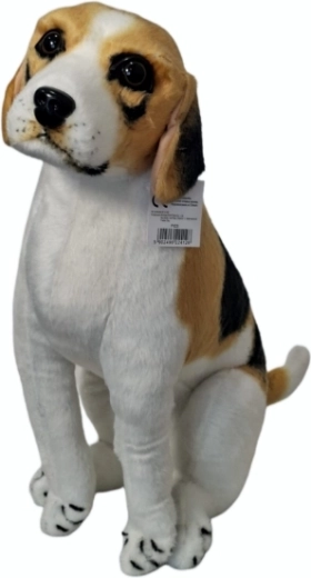 Pluszowy pies beagle – 1 sztuka