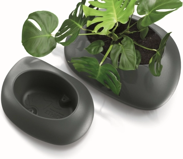 Odporność na promieniowanie UV i mróz