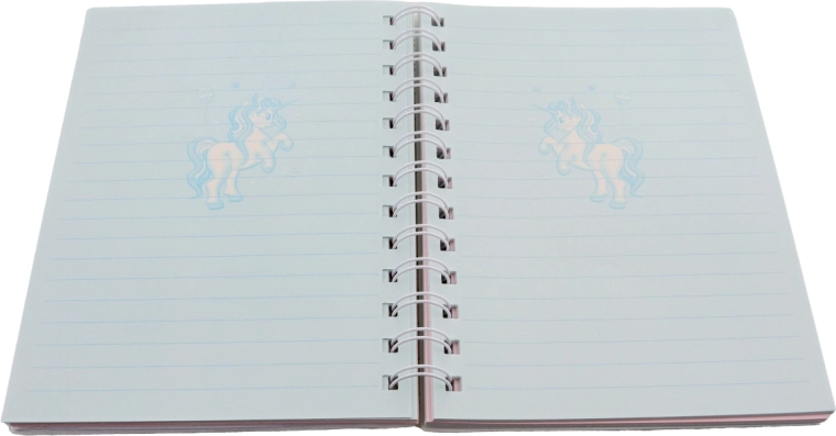 80 liniowanych kartek w dwóch kolorach