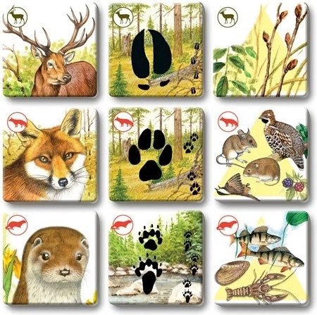 Wytrzymałe karty do częstej gry