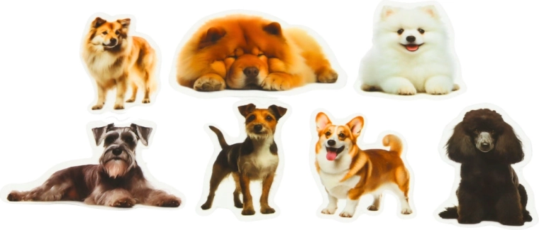 Przezroczyste tło dla czystego wyglądu