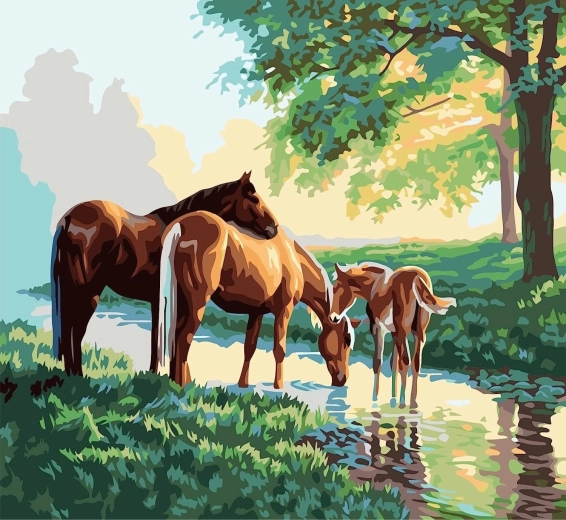 Malowanie po numerach Rodzina koni nad strumieniem 40 × 50 cm