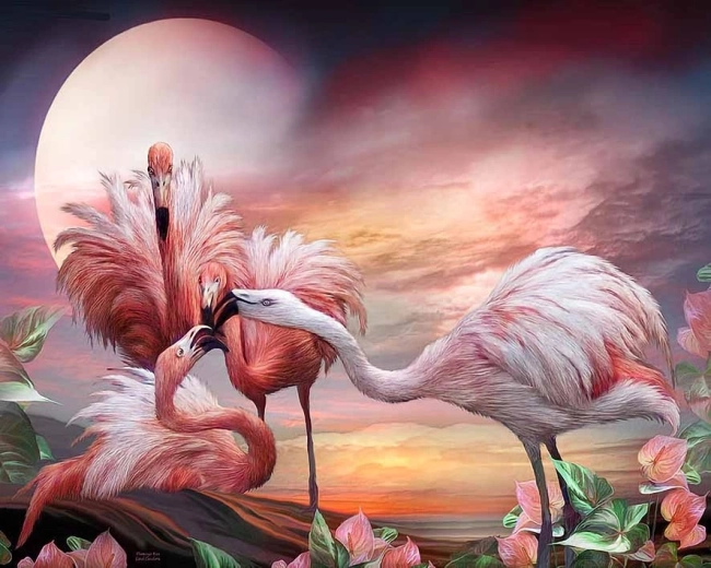 Norimpex Malowanie po numerach Flamingi 40 × 50 cm