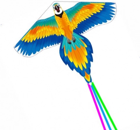 Duży latawiec papuga z długim ogonem 250 × 140 cm