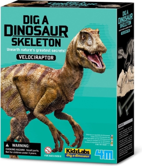 Zestaw wykopaliskowy - Velociraptor