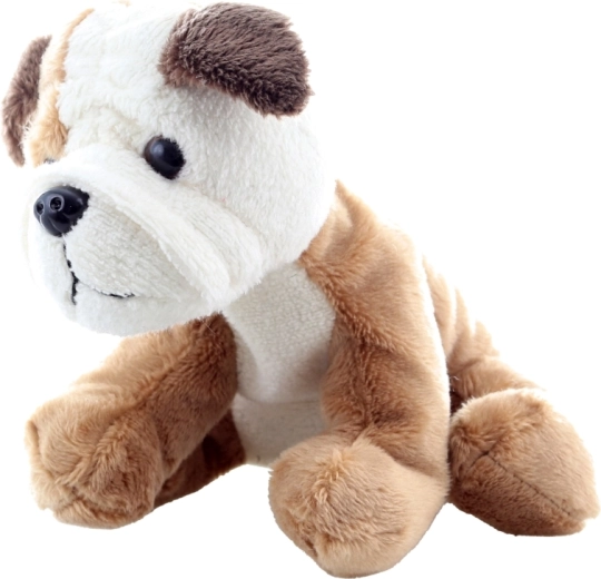 Bezpieczny dla najmłodszych (0+)