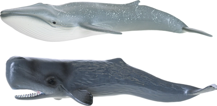 Realistyczne detale dla wiernej zabawy