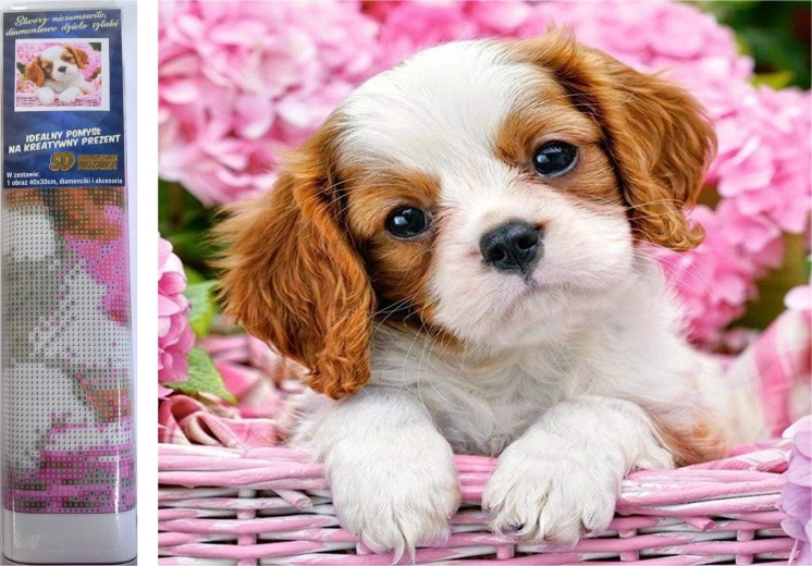 Malowanie diamentowe szczeniak w różowym koszyku 30 × 40 cm