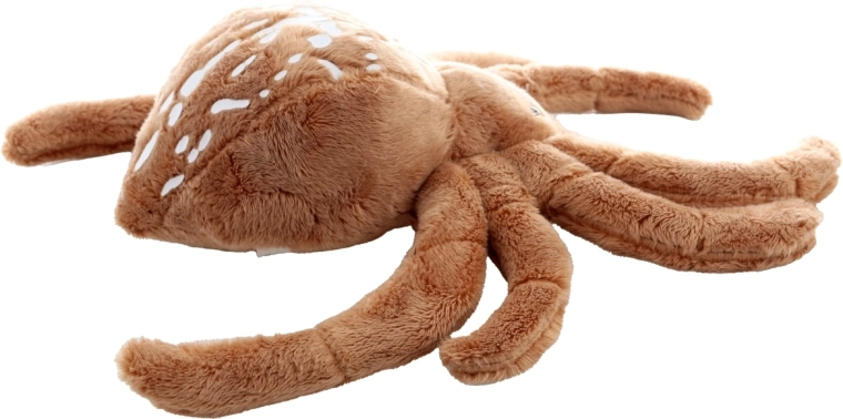 Urocze detale i realistyczny wygląd