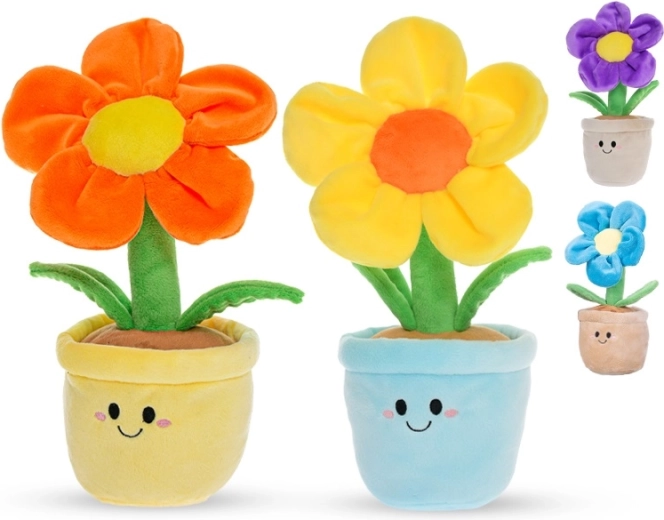 Bezpieczne od urodzenia (0+)