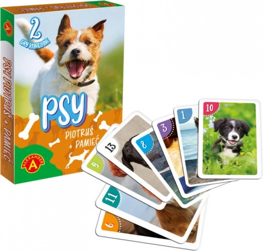 Karty pamięciowe Piotruś Pan - Psy