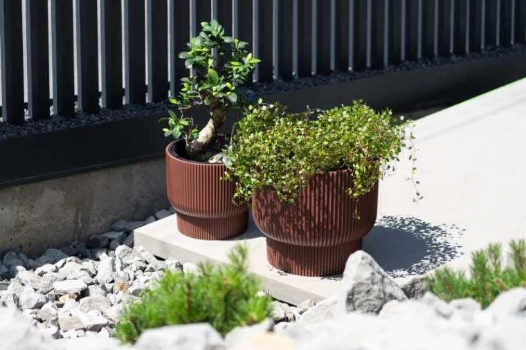 Praktyczny wkład do szybkiego sadzenia