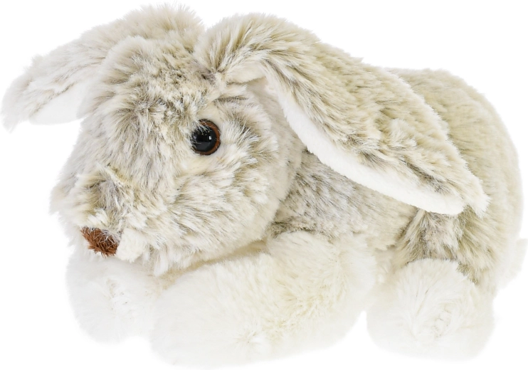 Urocze detale i długie uszka