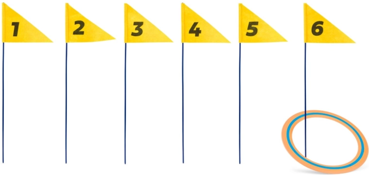 Plenerowy discgolf z ponumerowanymi chorągiewkami