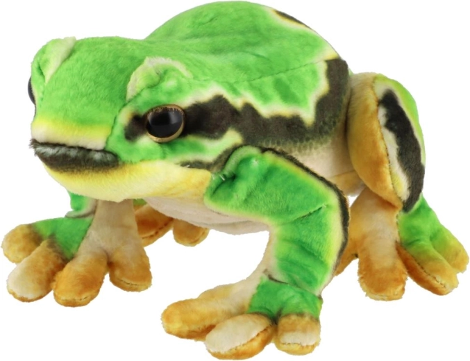 Uroczy realistyczny wygląd