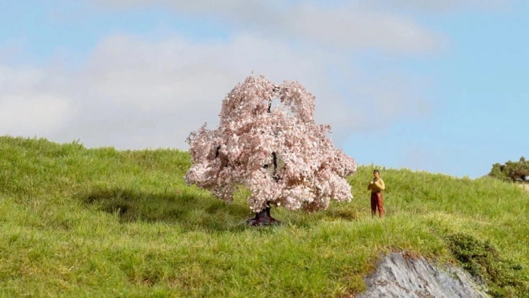 Jeszcze czereśnia – Master Trees, modelowe drzewo 6 cm
