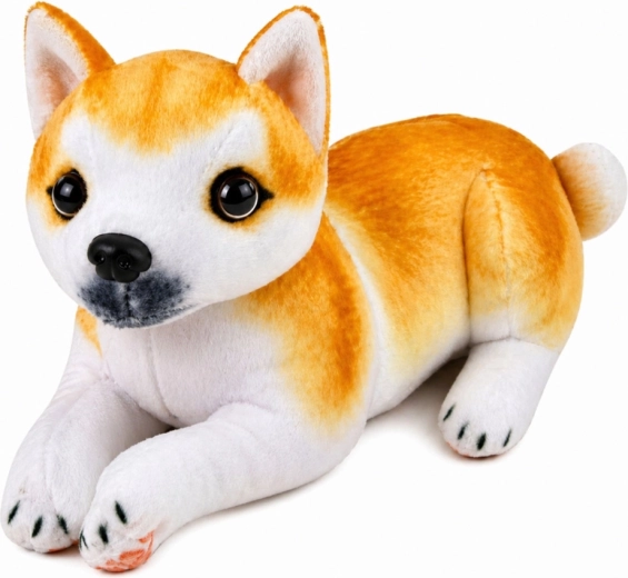 Realistyczny wygląd Shiba Inu