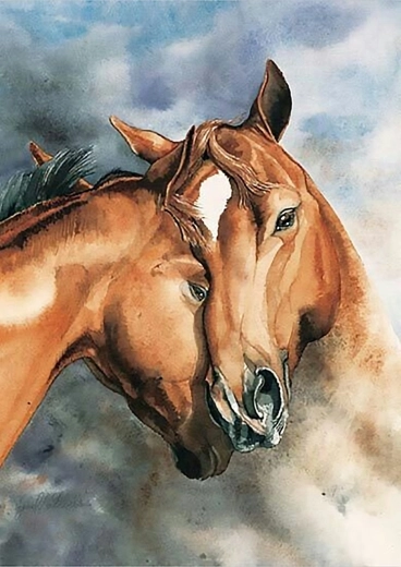 Norimpex malowanie po numerach Konie 40 × 50 cm