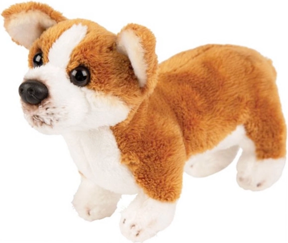 Pluszowy pies Corgi
