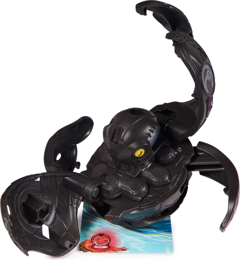 wszystko potrzebne do gry w zestawie