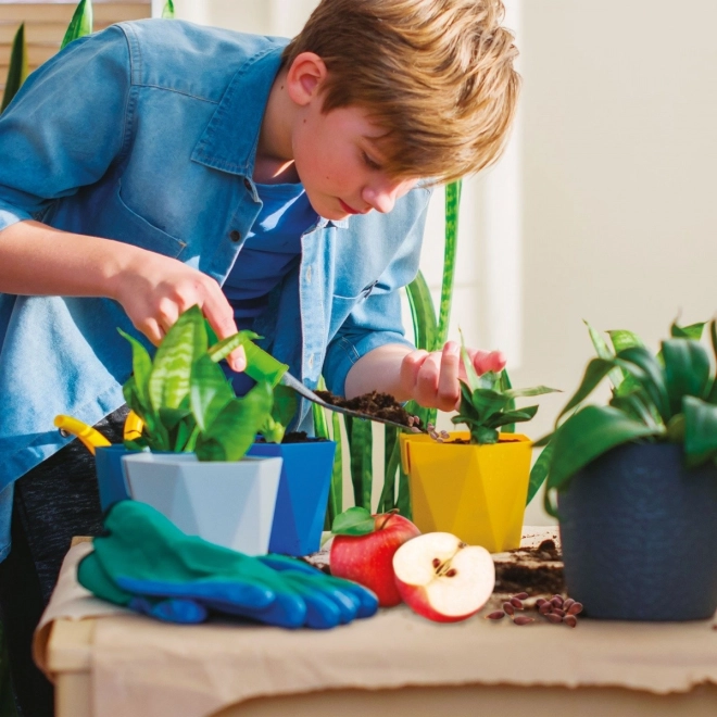 Zabawna uprawa w domu