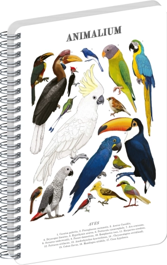Notique spiralny blok Animalium Ptaki czysty A5