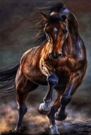 Norimpex malowanie diamentowe dziki koń 30 × 40 cm