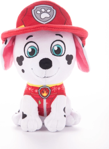 Autentyczne detale strażaka