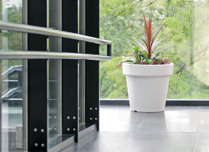 Duża pojemność dla zdrowego wzrostu roślin