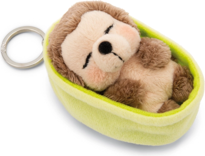 Uroczy śpiący jeż zawsze pod ręką