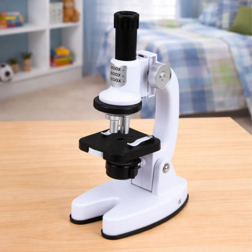 Trzy poziomy powiększenia dla każdego odkrycia