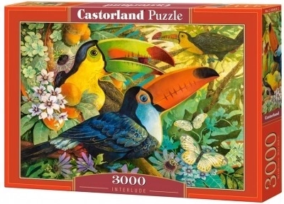 Puzzle 3000 elementów – tukany Interlude CASTORLAND