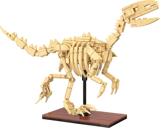 Świecące kości i ekspozycyjne wykonanie