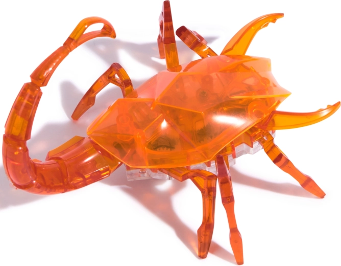 Przezroczysty design i wytrzymała konstrukcja