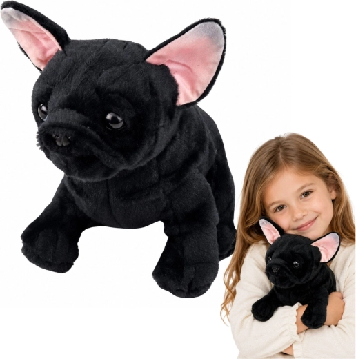 Pluszowy buldog francuski czarny 22 cm